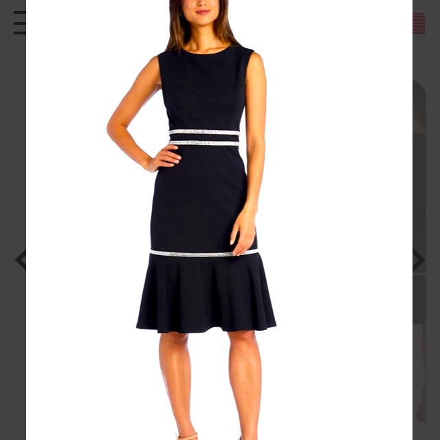 Beautiful Brand New Black Dress By RM Richards